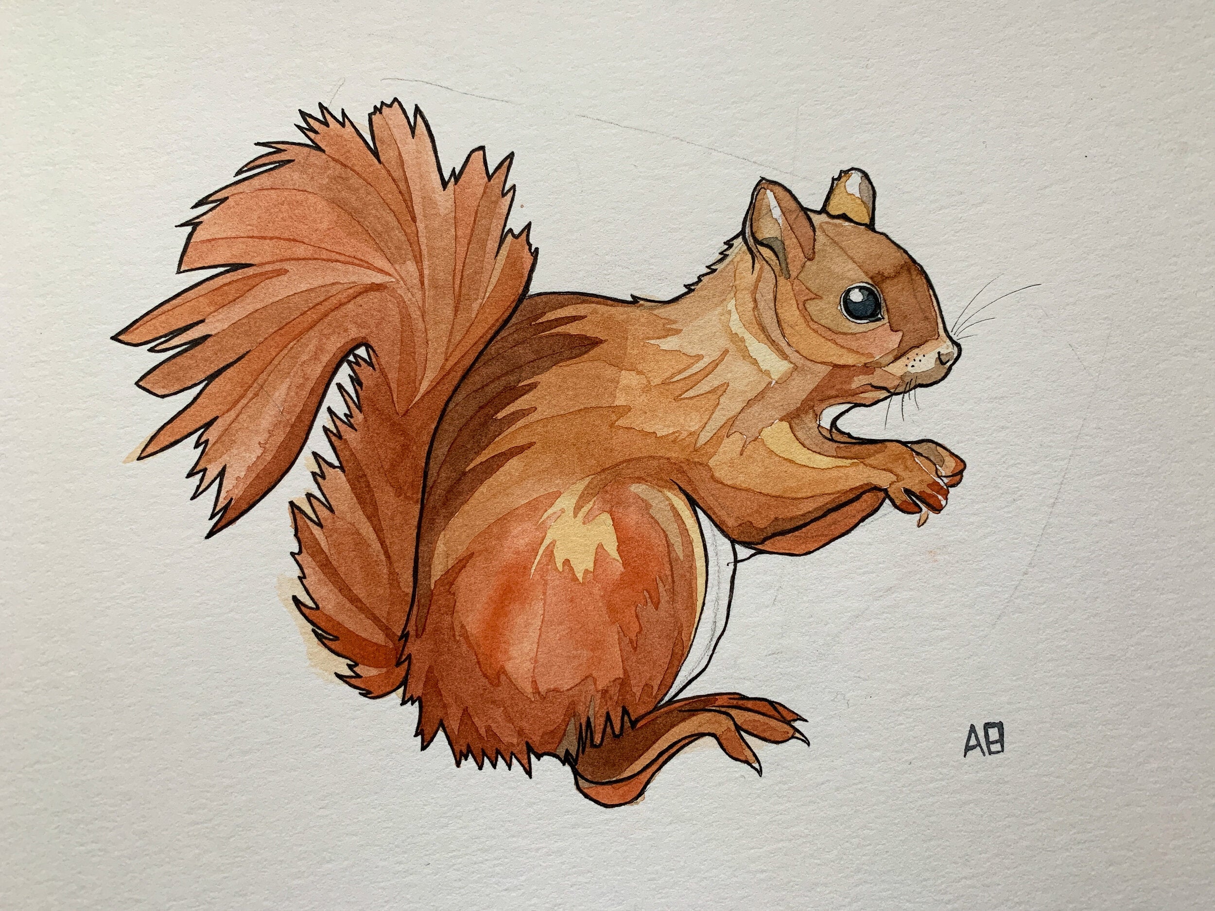 I drew my mum's favourite animal for her, a red squirrel. Coloured pencil  on cotton paper, 10x10in : r/drawing
