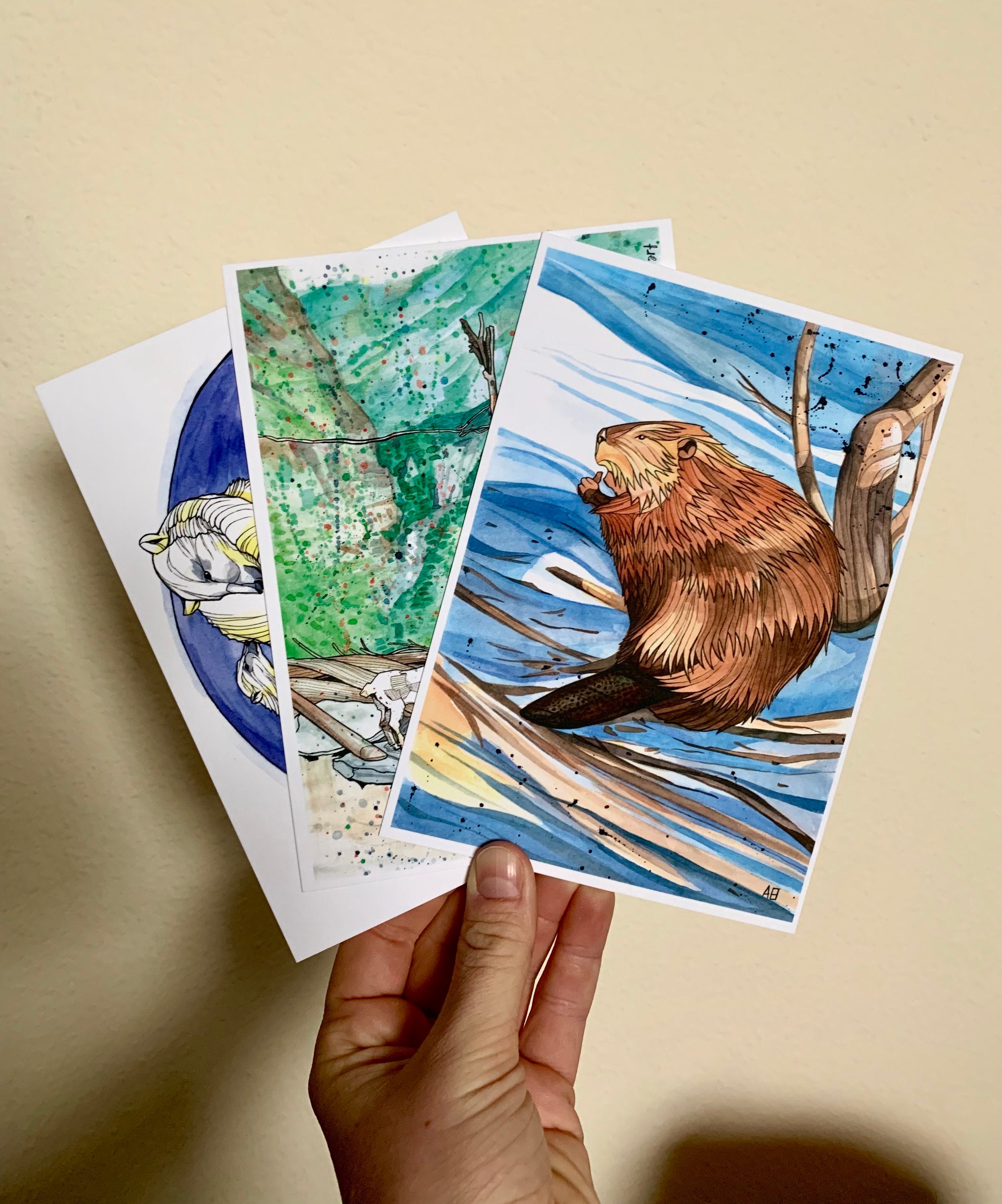 Critter Postcard 3-Pack