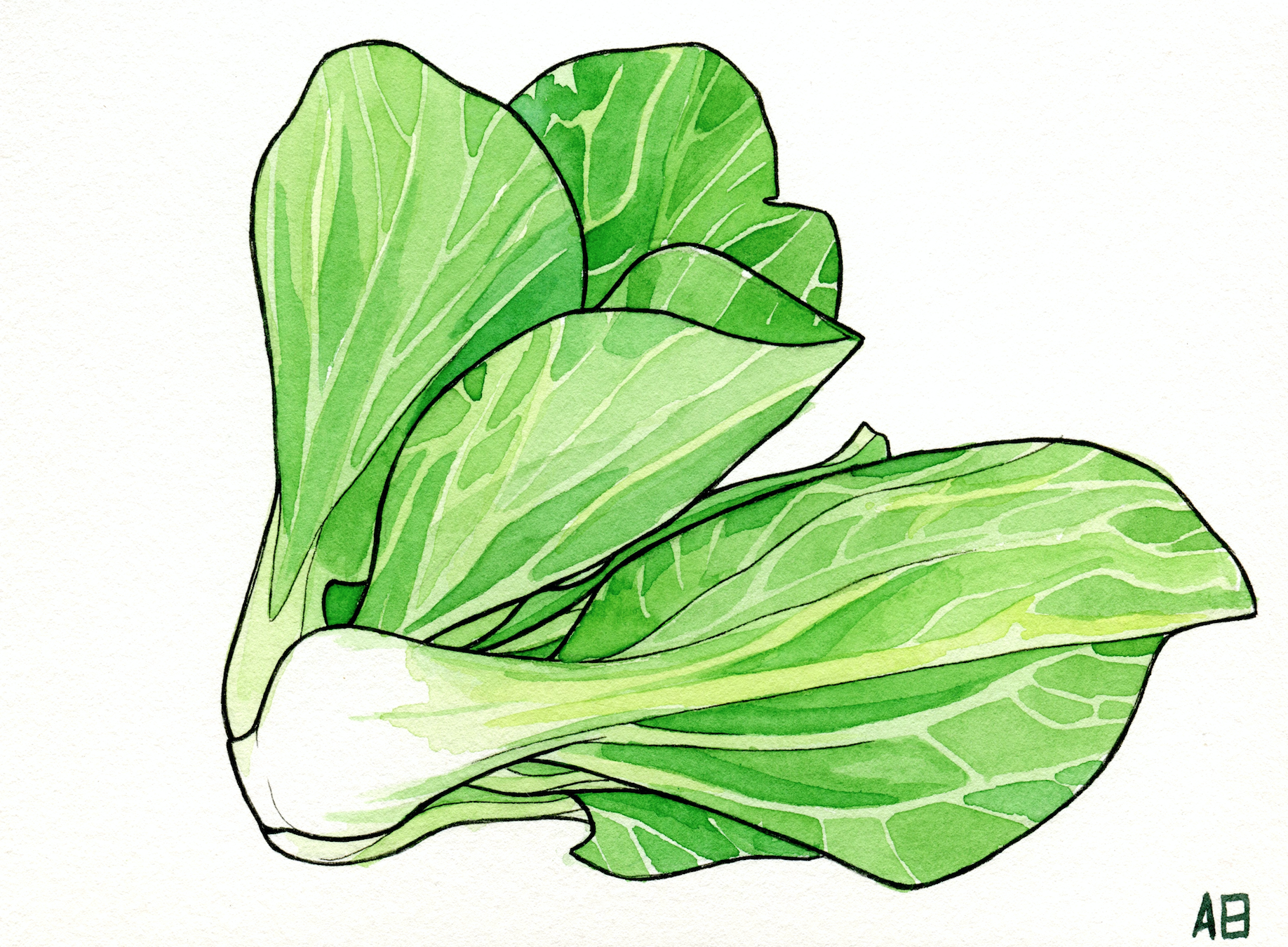 16 Easy Vegetables Drawing Tutorials